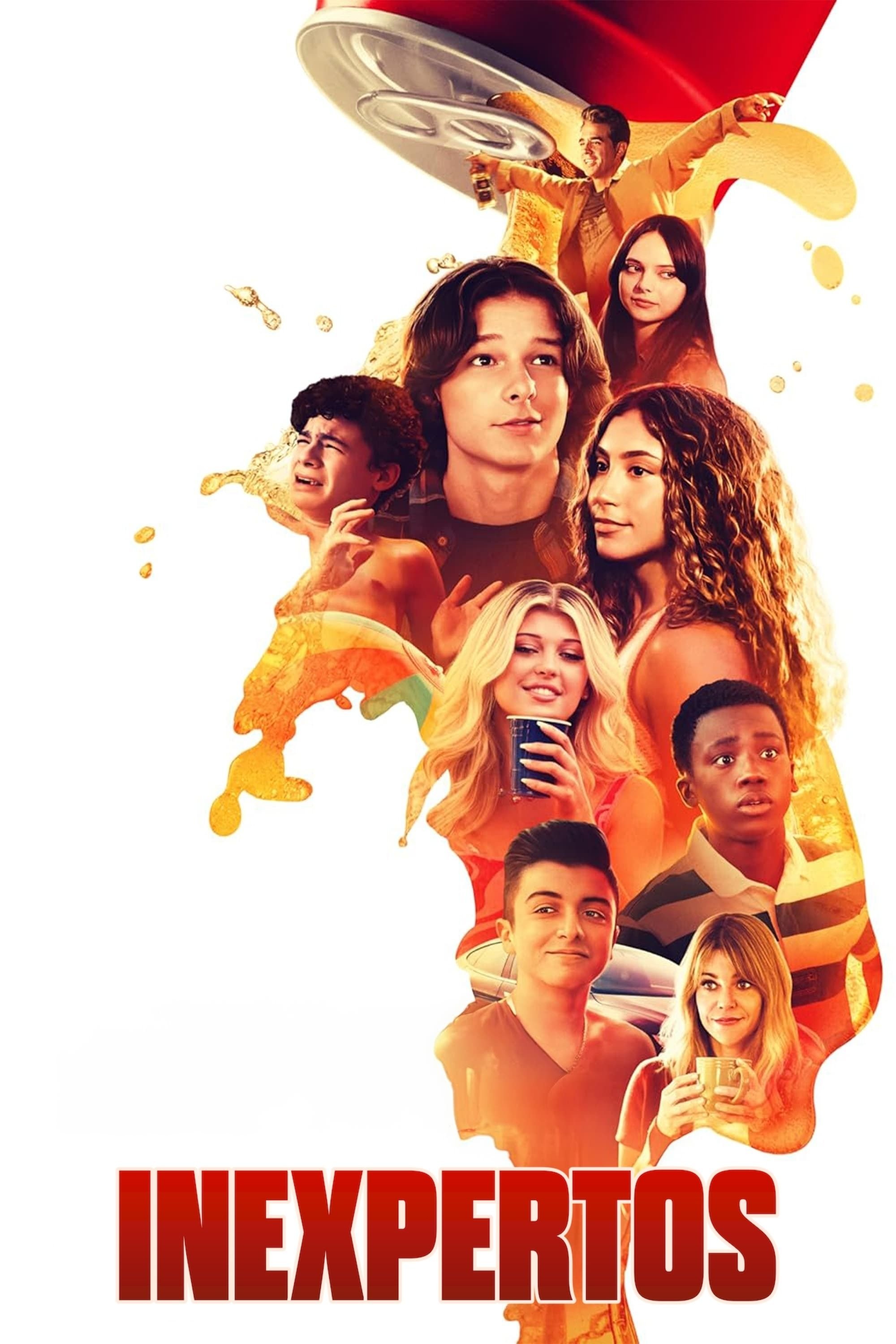 Poster de Inexpertos