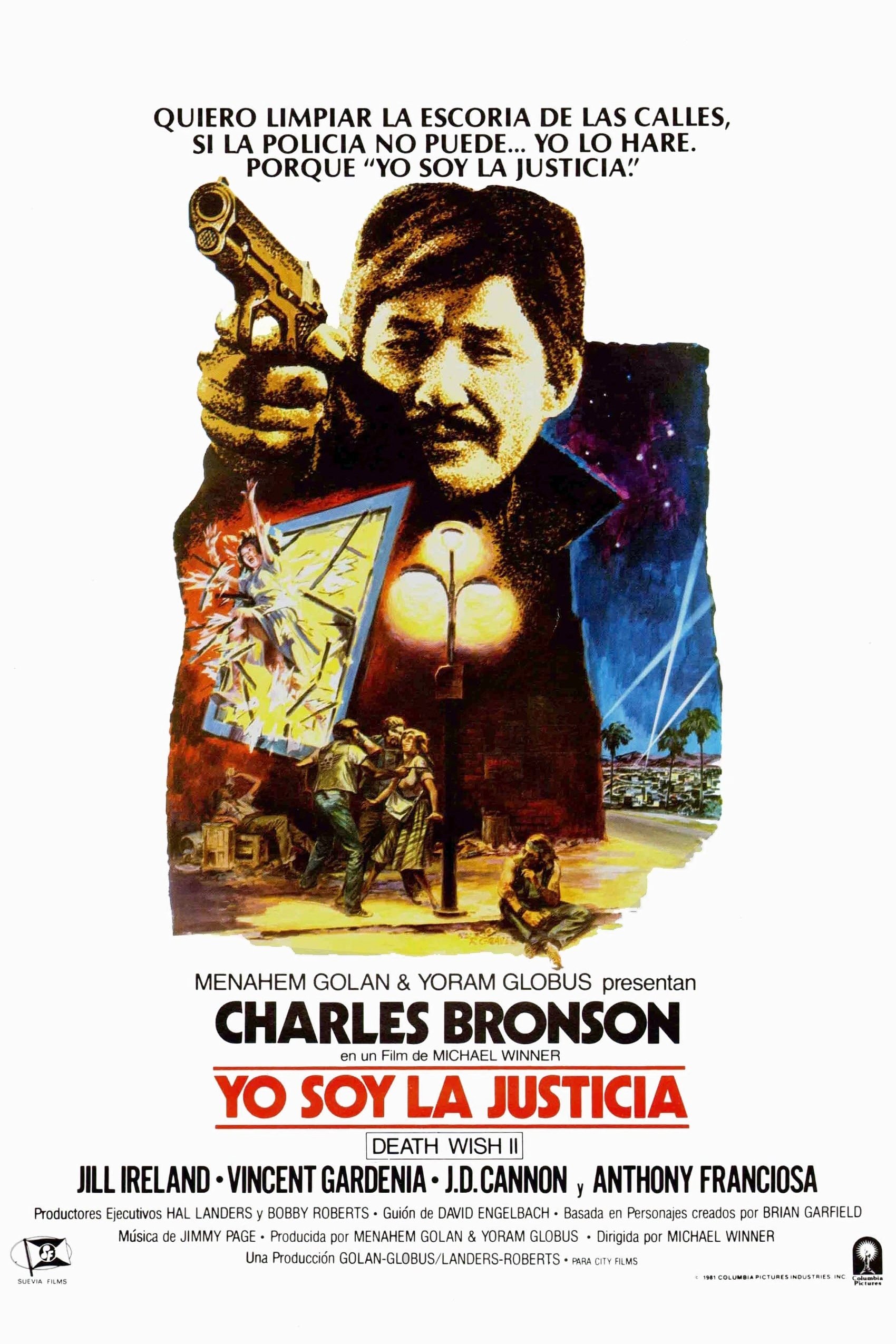 Poster de El vengador anónimo 2