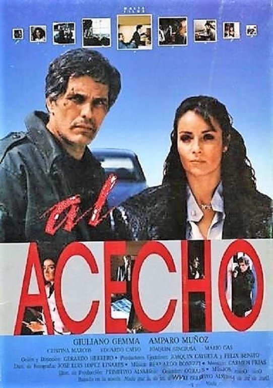 Poster de Al acecho