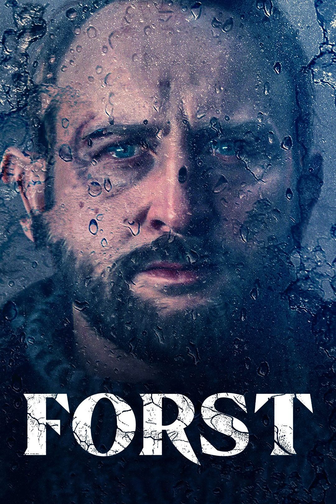 Poster de Forst