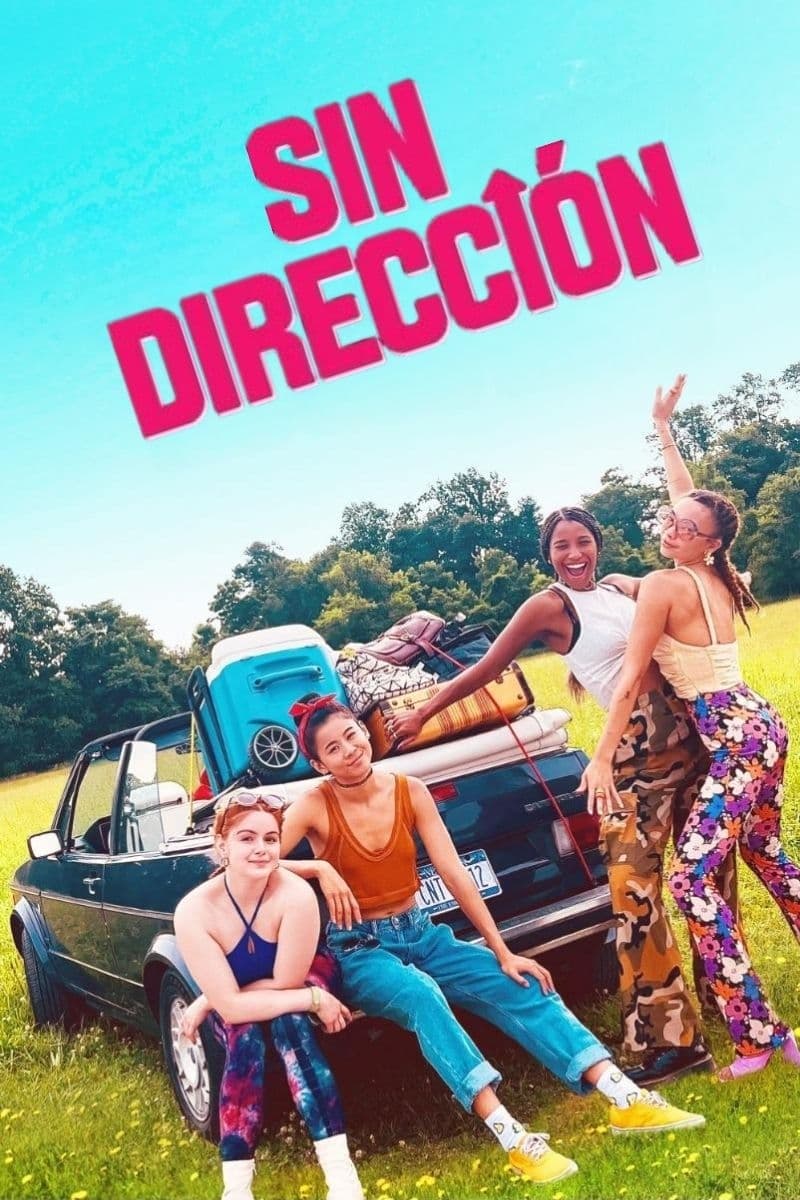 Poster de Piedras en el camino