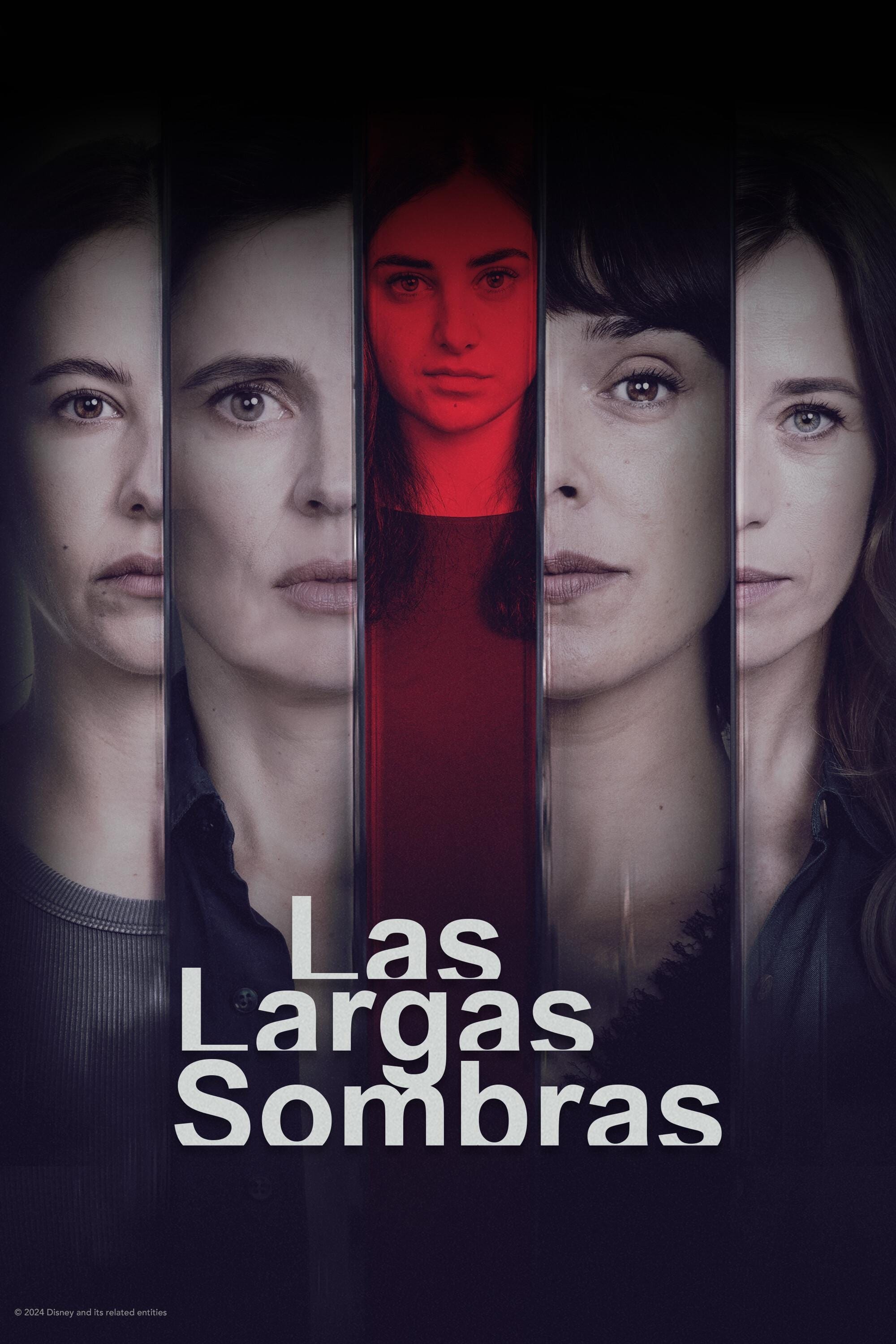 Poster de Las largas sombras