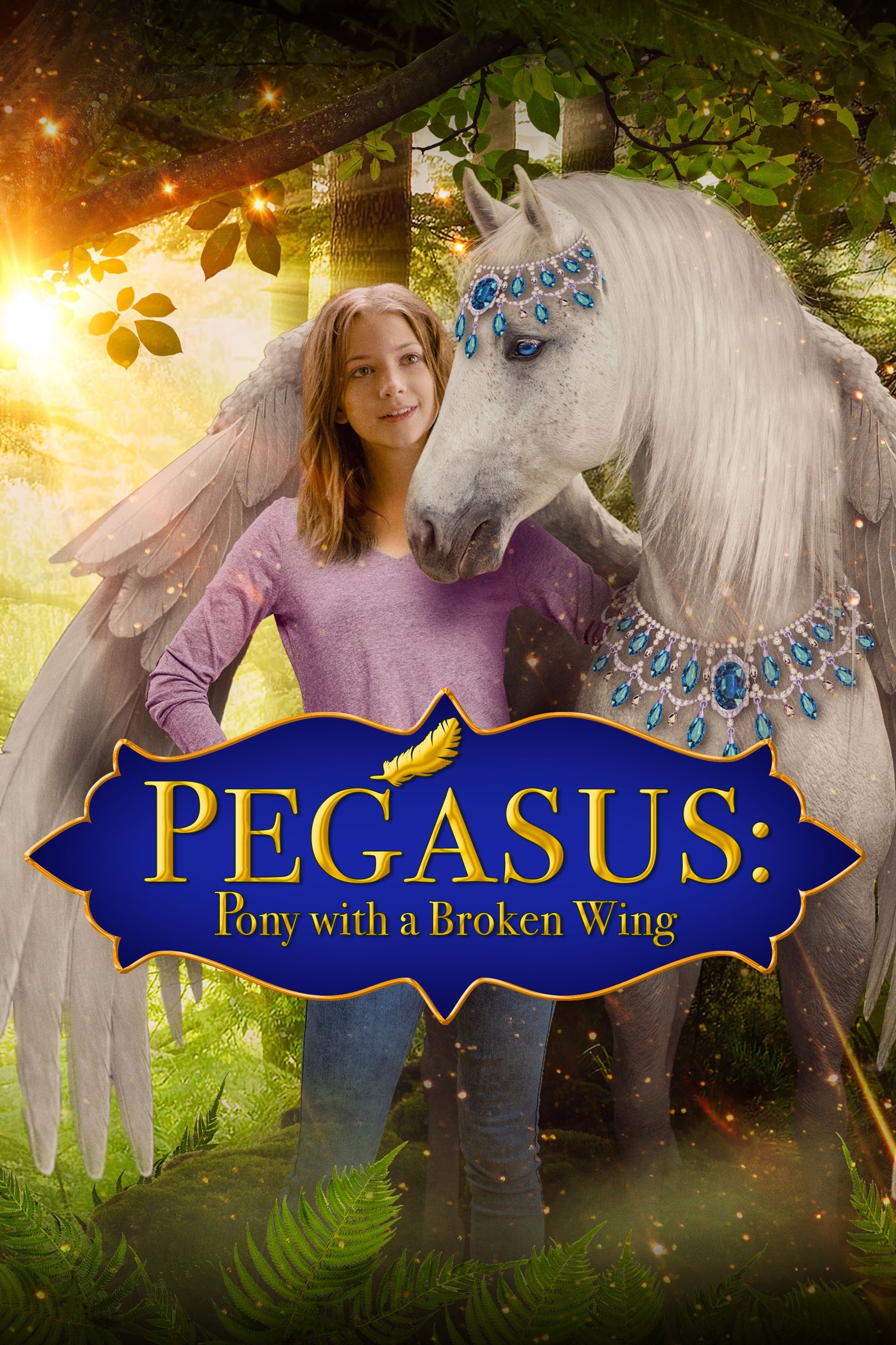 Poster de Pegasus: Pony With a Broken Wing