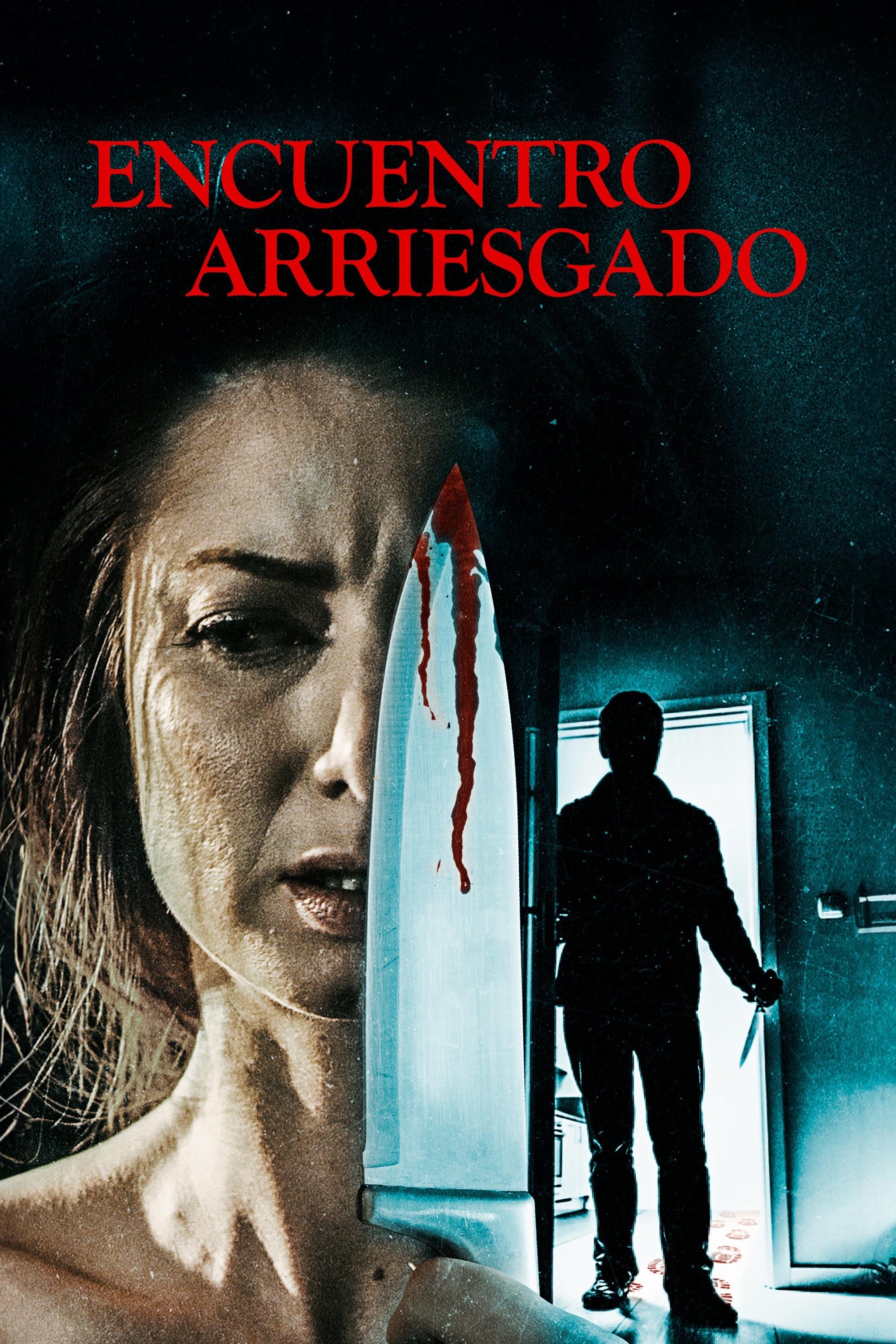 Poster de Encuentro arriesgado