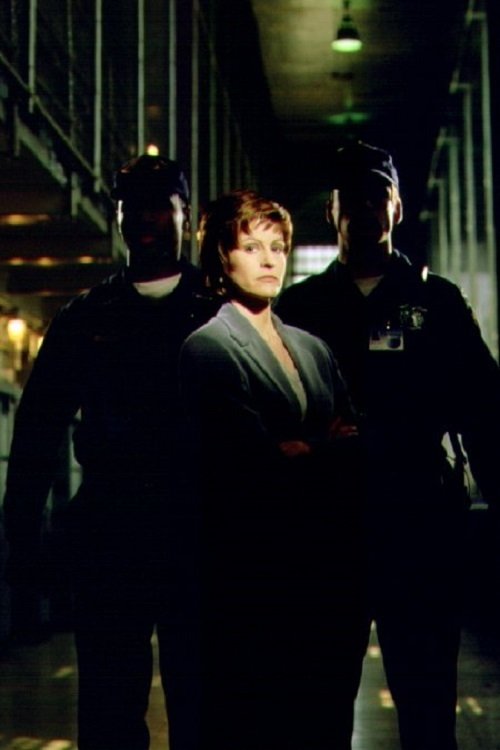 Poster de The Warden