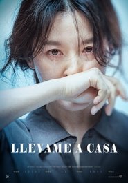 Poster de Llévame a Casa