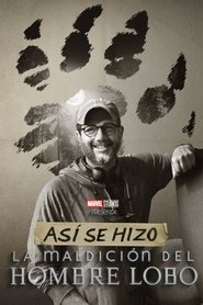 Director por la noche