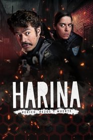 Poster de Harina