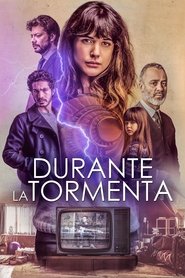 Poster de Durante la tormenta