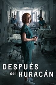 Poster de Después del huracán Katrina