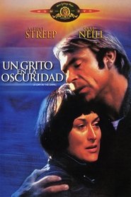 Un Llanto en la Noche