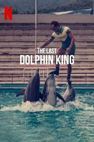 Poster de ¿Qué le pasó al rey de los delfines?