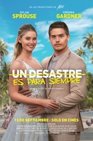 Poster de Una Boda y Otros Desastres