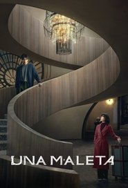 Una maleta