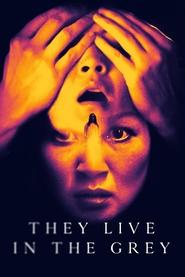 Poster de They Live in the Grey