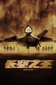 Poster de 长空之王