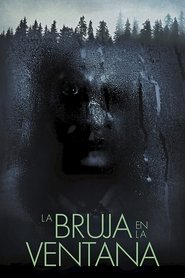Poster de The Witch in the Window