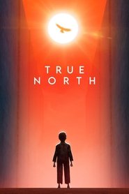 Poster de True North
