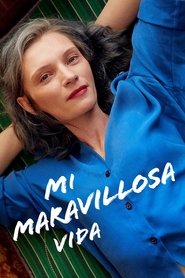 Poster de Mi maravillosa vida