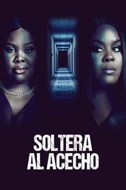Poster de Soltera al acecho