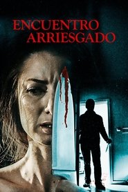 Poster de Encuentro arriesgado