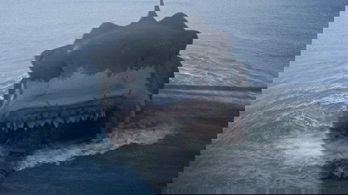Megalodon
