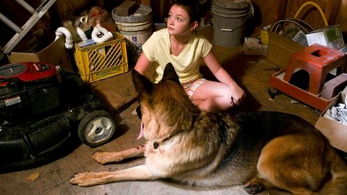 Un amor de cachorro