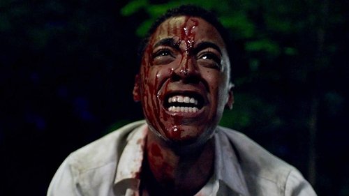 El Asesino de Central Park