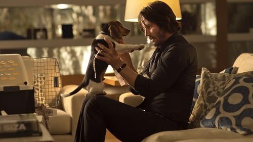 John Wick: Otro Día para Matar