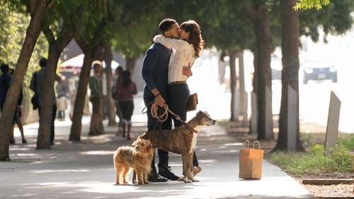 Dia De Perros
