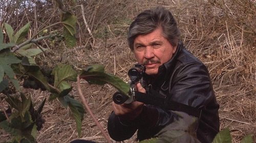 El vengador anónimo 4: El regreso del justiciero