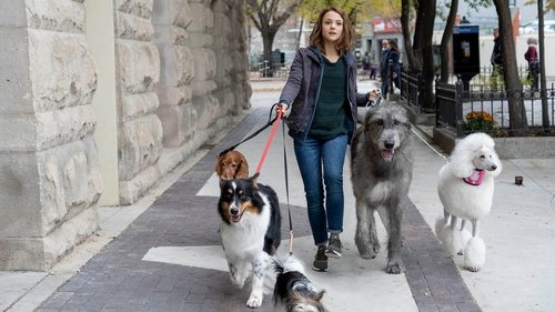 La Razón De Estar Contigo 2: Un Nuevo Viaje