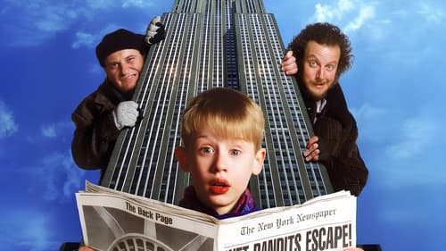 Mi pobre angelito 2: Perdido en Nueva York