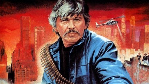 El Vengador Anónimo 3