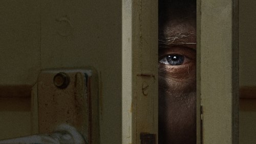 Los peores compañeros de casa del mundo