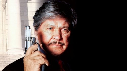 El vengador anónimo 5: La cara de la muerte
