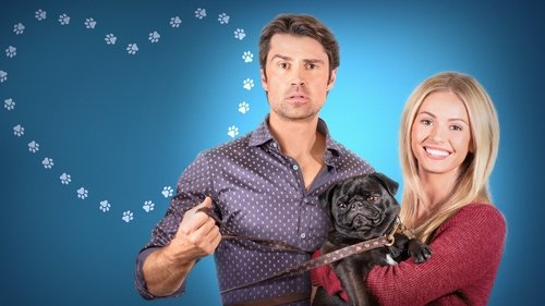 The Dog Lover&#8217;s Guide to Dating