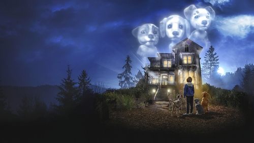 Cachorros fantasmas