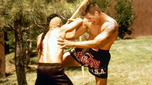 Kickboxer 4