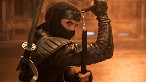 Ninja: El guerrero silencioso