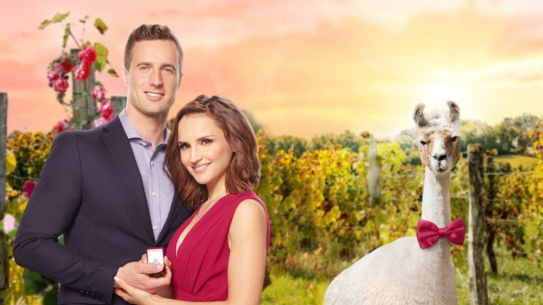 Backdrop de San Valentín en los viñedos