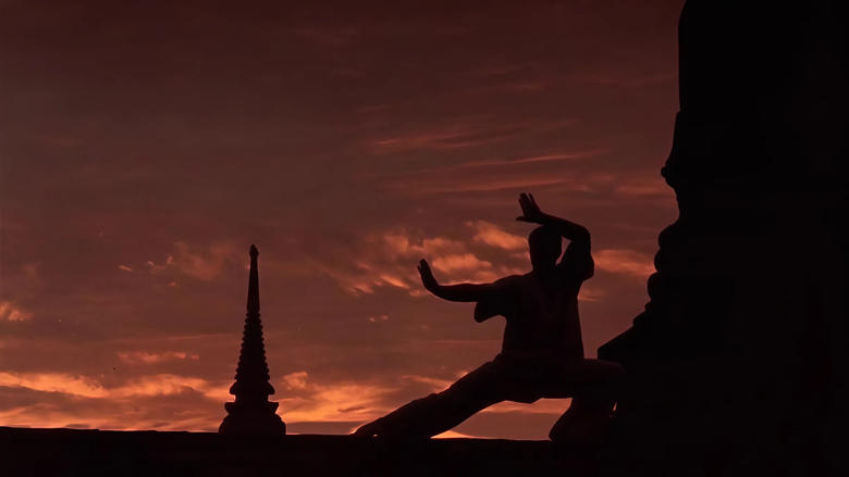 Backdrop de Kickboxer