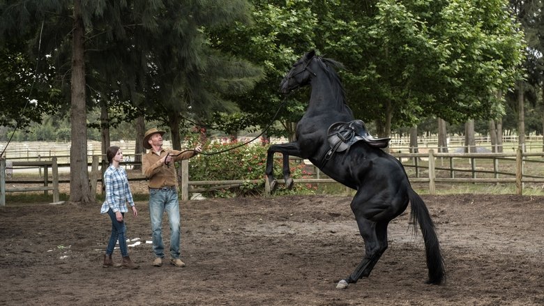 Backdrop de Black Beauty