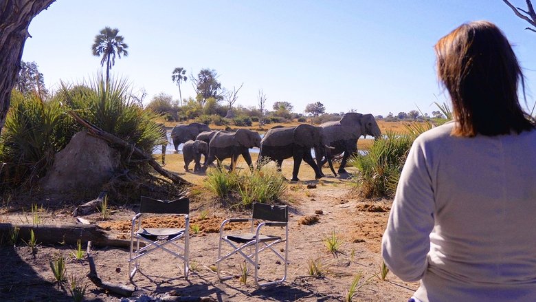 Backdrop de In the Footsteps of Elephant