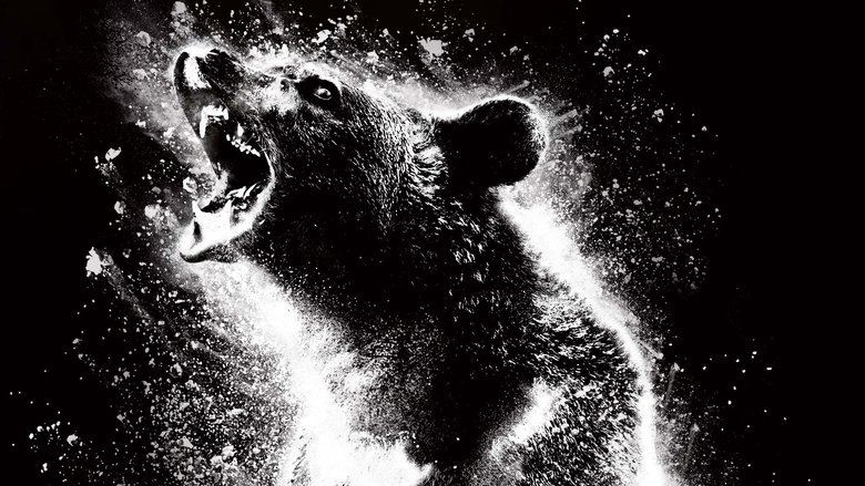 Backdrop de Oso intoxicado