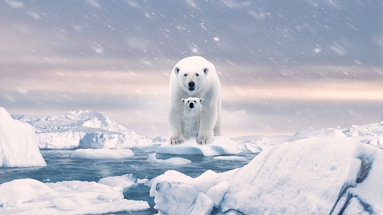 Backdrop de Osa Polar