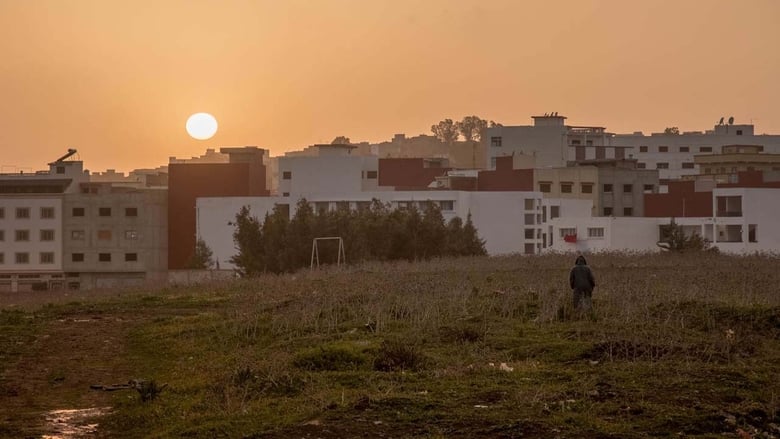 Backdrop de Palestina: Una tierra en conflicto