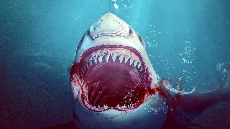Backdrop de Sharkula
