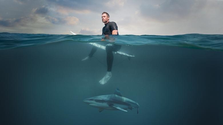 Backdrop de Playa de tiburones con Chris Hemsworth