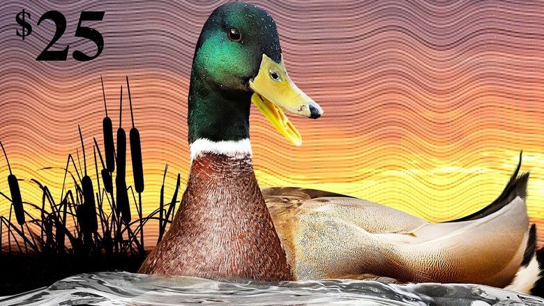 Backdrop de The Million Dollar Duck